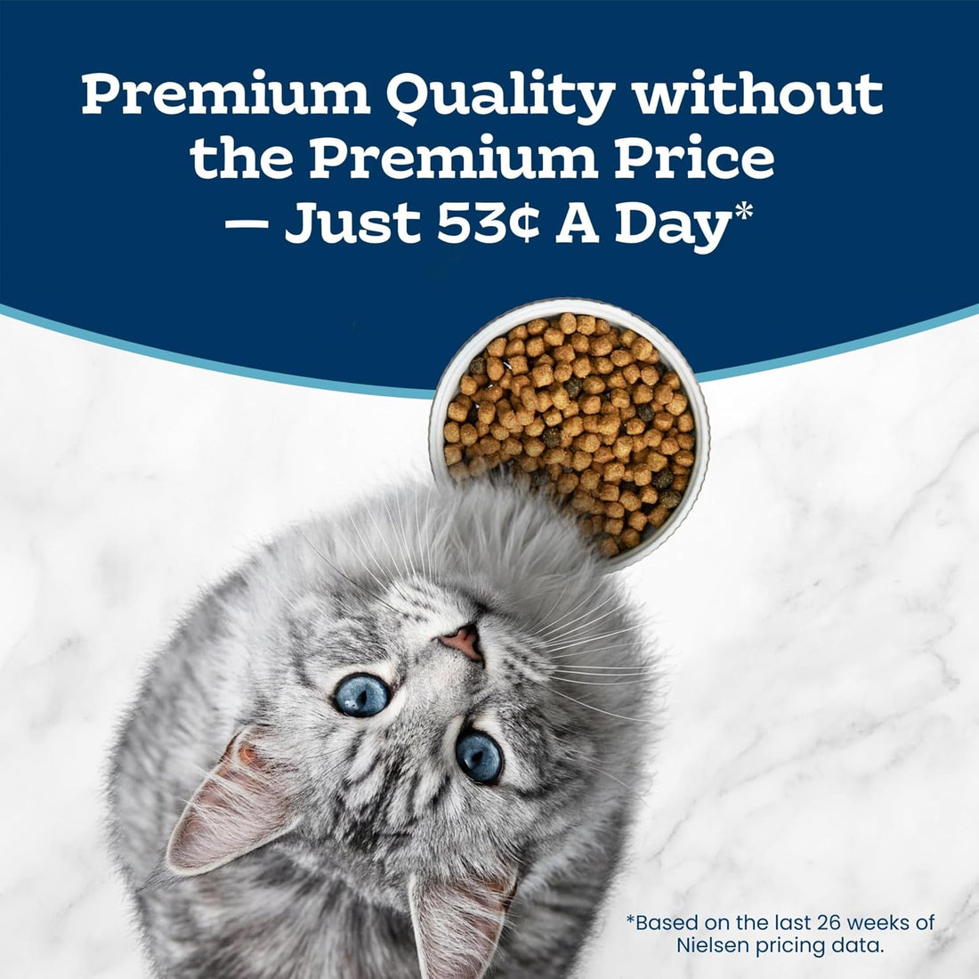 Blue Buffalo Tastefuls Natural Dry Food for Adult Cats