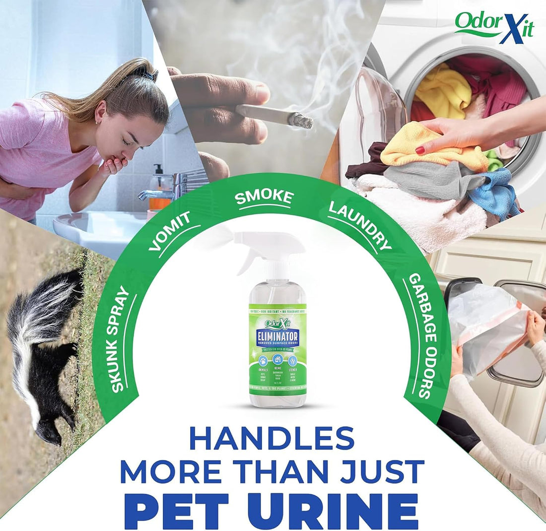 OdorXit Pet Urine Odor Eliminator
