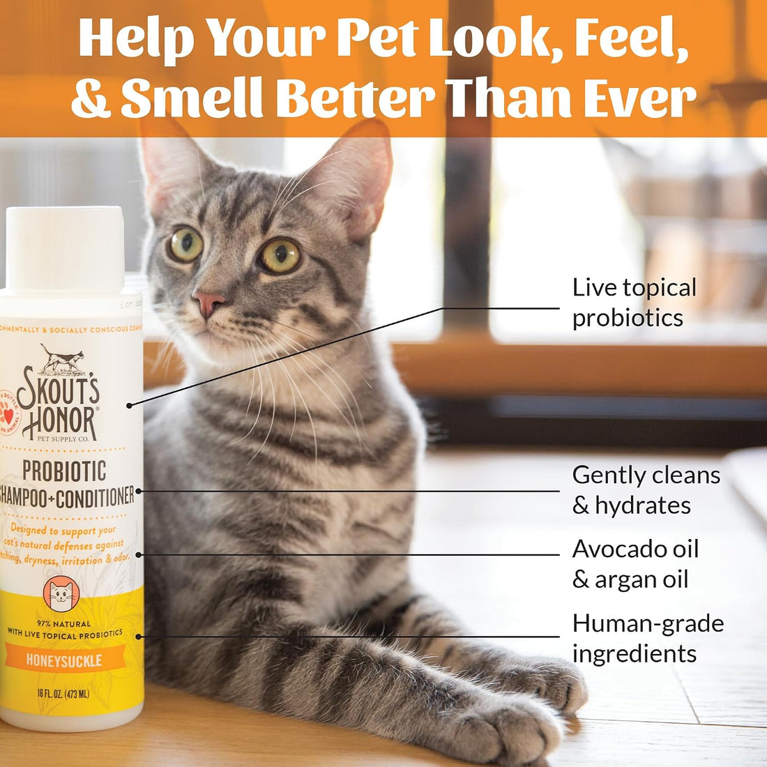 SKOUT'S HONOR Probiotic Cat Shampoo & Conditioner with Avocado Oil
