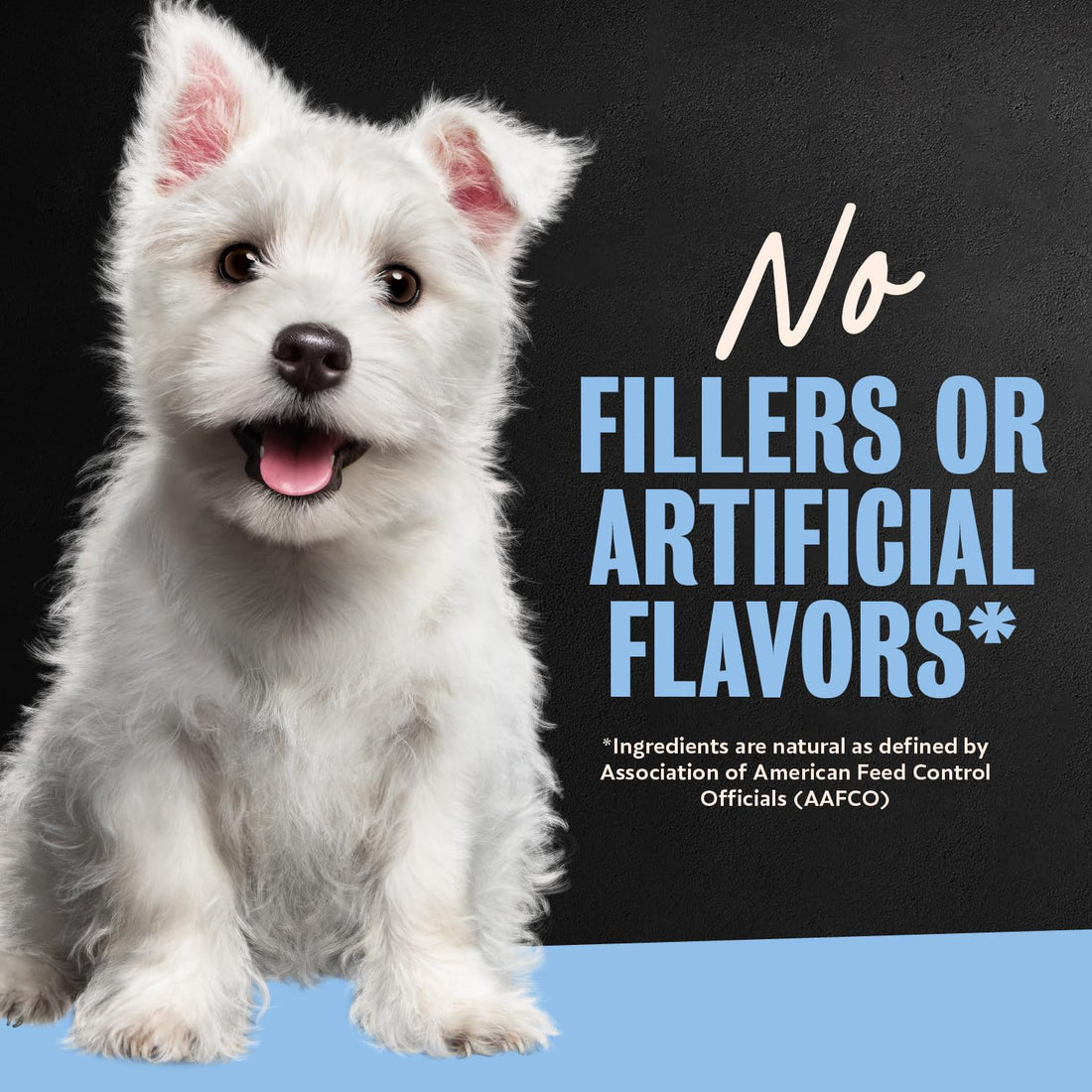 Cesar Puppy Wet Dog Food
