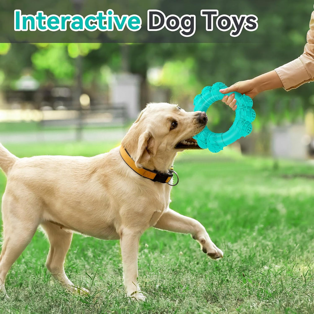 Indestructible Dog Chews - Super Duty Chew Toys for Aggressive Dogs