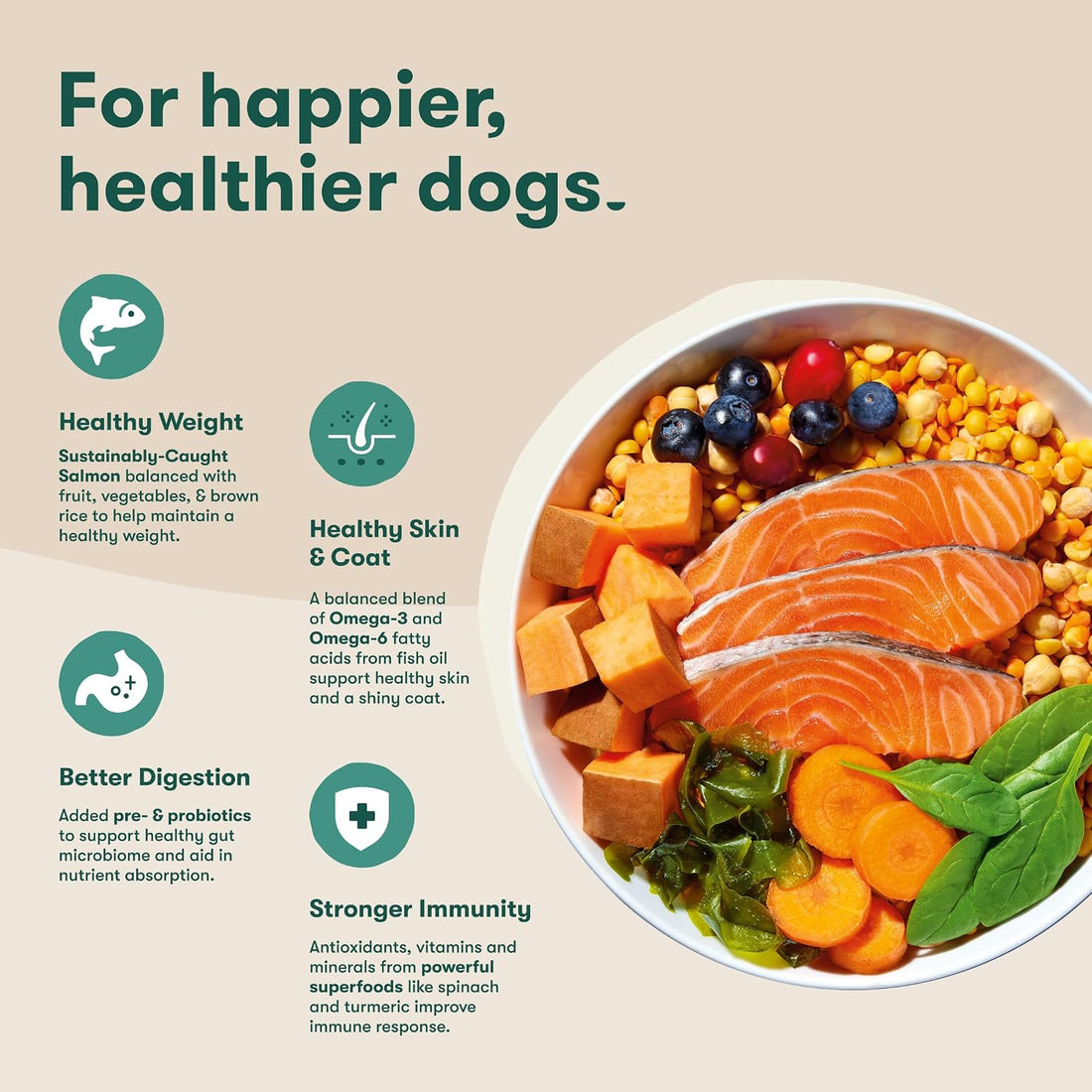 Jinx Grain Free Dry Dog Food - Real Salmon, Sweet Potato & Carrot, 4lb