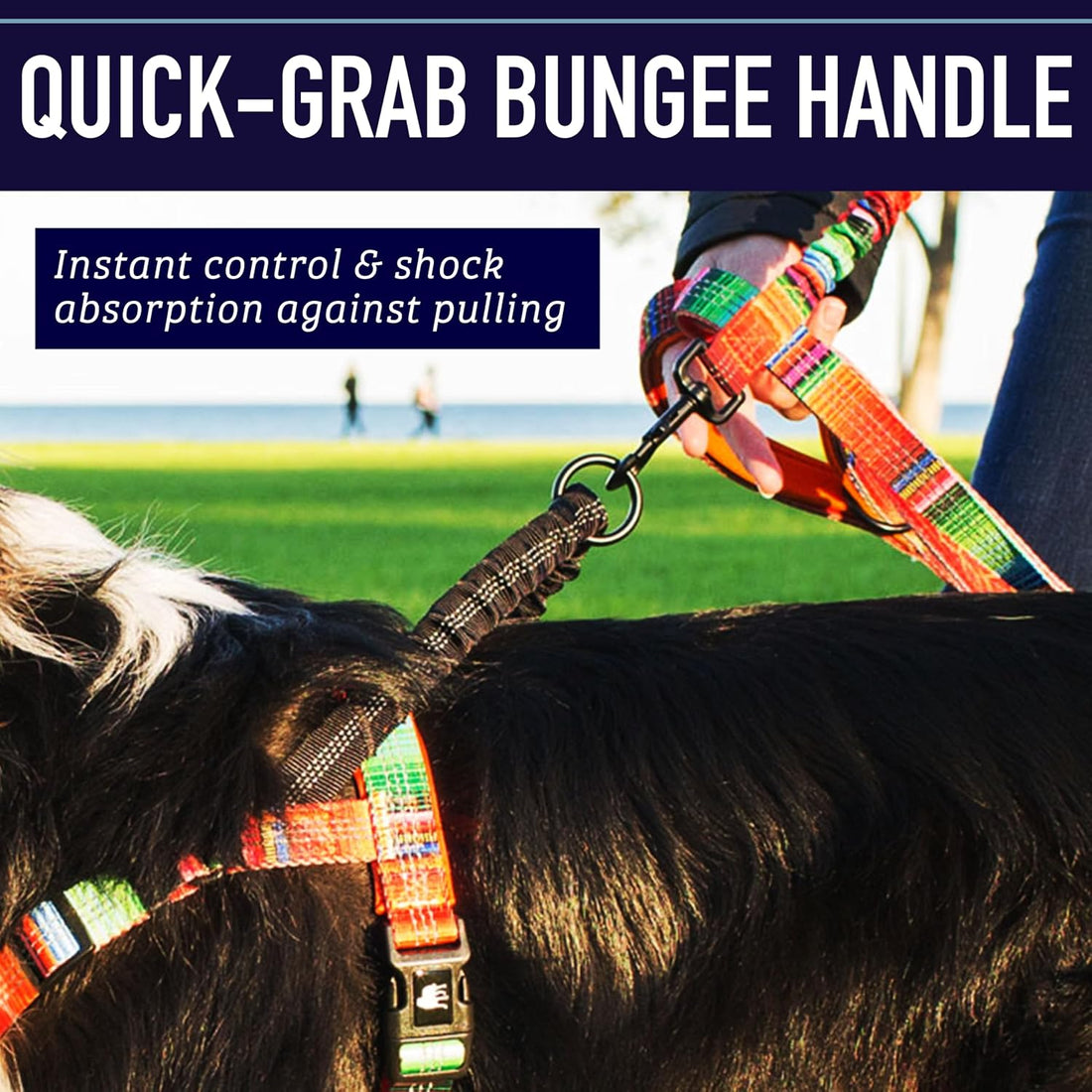 Leash Boss No Pull Dog Harness, Easy Walk for Small, Medium