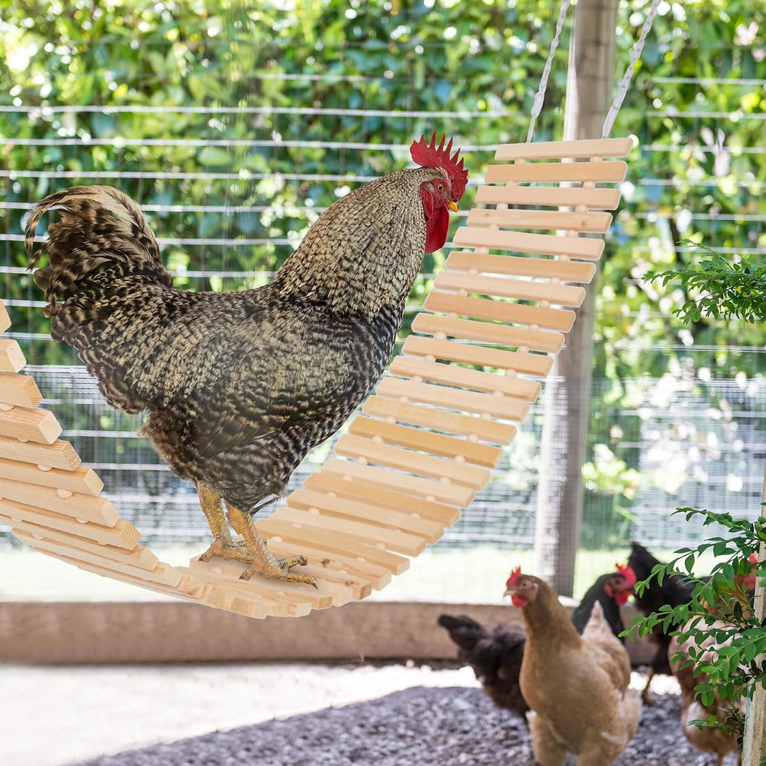 Jorewood Chicken Coop Toy Natural Wooden Chicken Swing & Bridge Toys