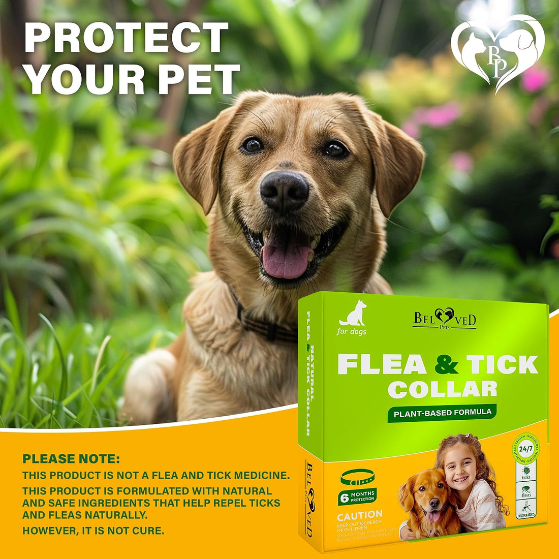 Natural Flea & Tick Collar for Dogs