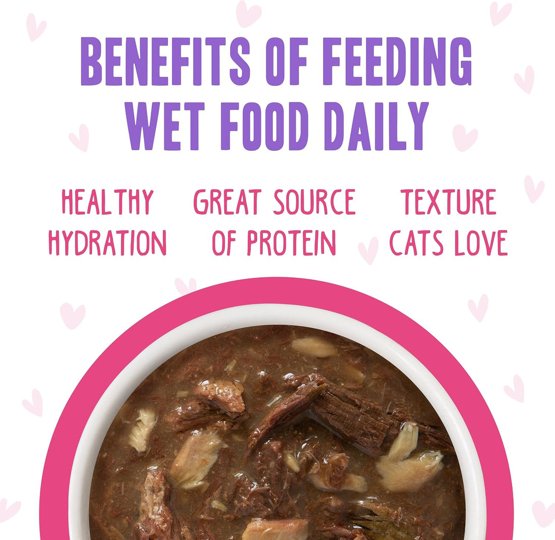 Weruva B.F.F. OMG - Best Feline Friend Oh My Gravy!