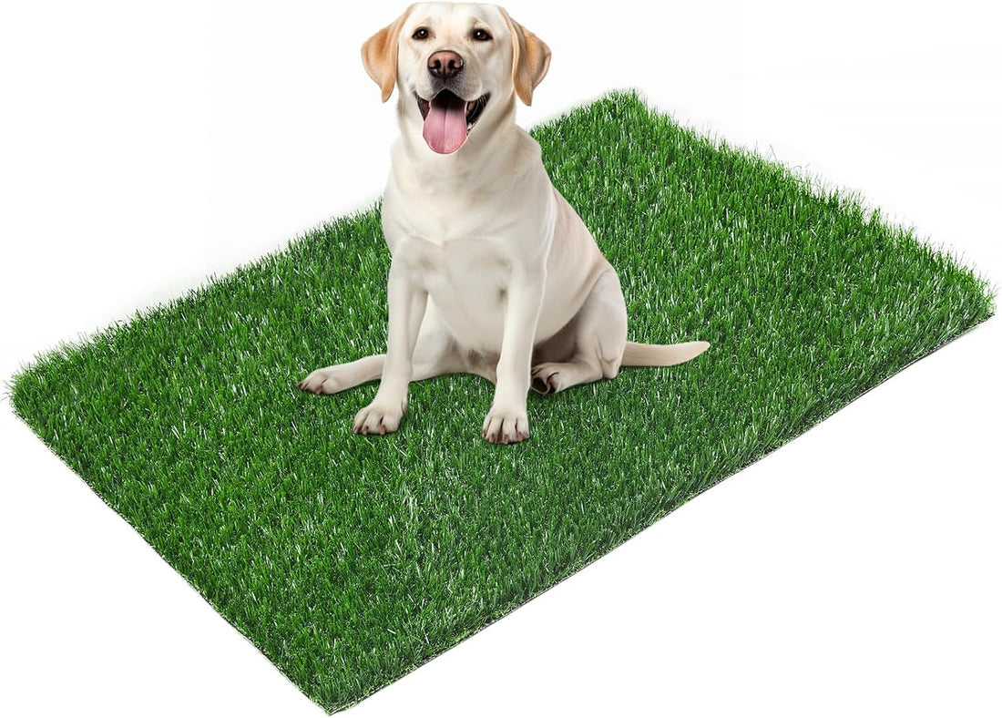 LOOBANI 33.2in x 21in Replacement Artificial Grass for Dogs Potty