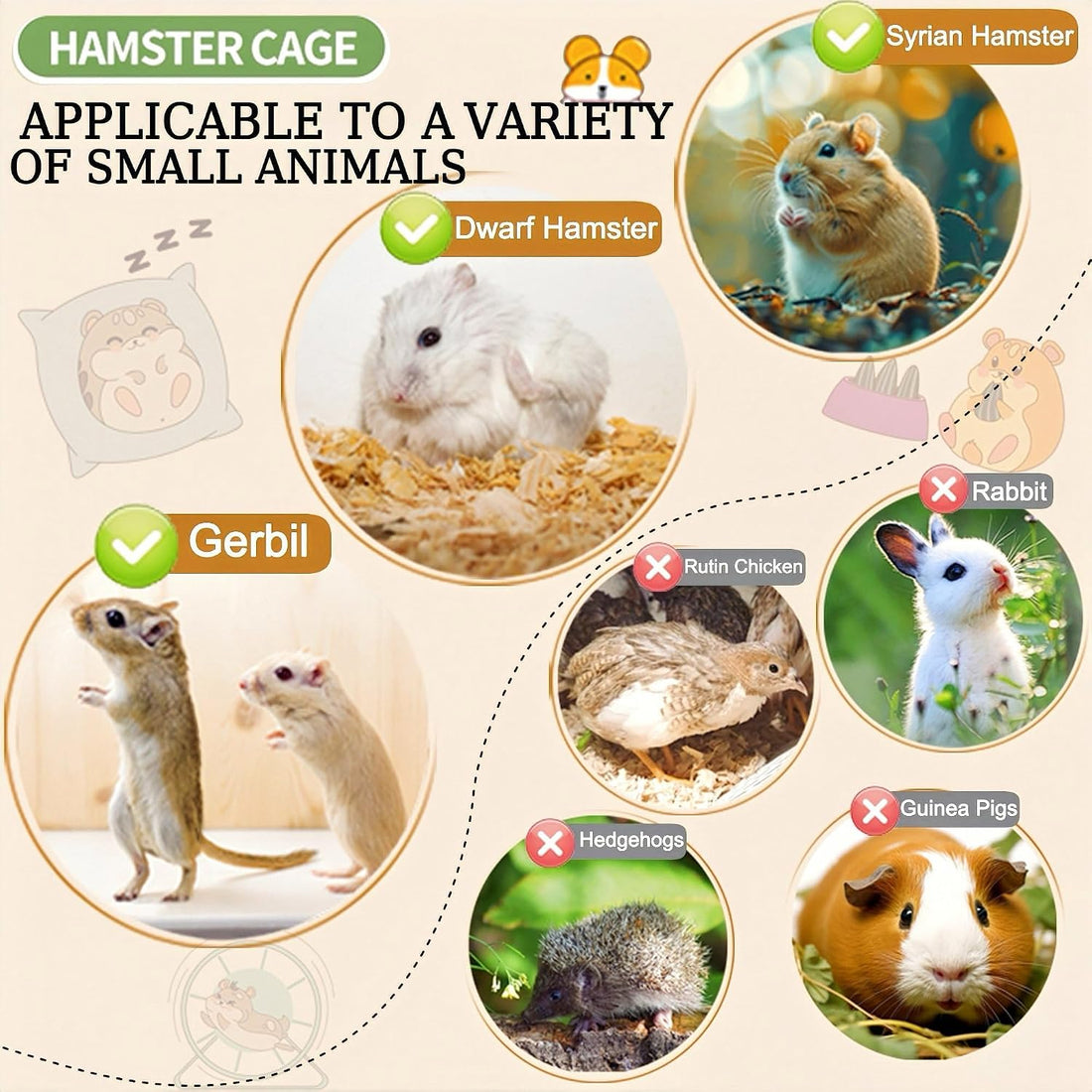 17 in 1 Clear Acrylic Hamster Cage with All Accessories,13.5''L*