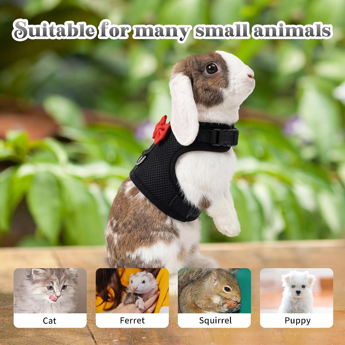 AIITLE Breathable Bunny Harness and Leash Set with Cute Bow, Black S