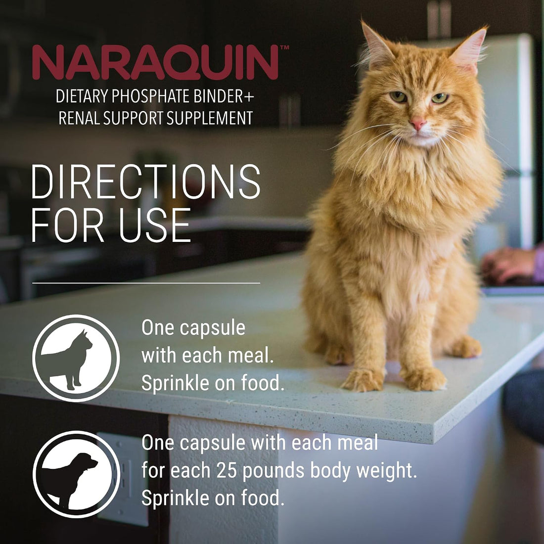 Nutramax Laboratories NARAQUIN™ Dietary Phosphate Binder + Renal
