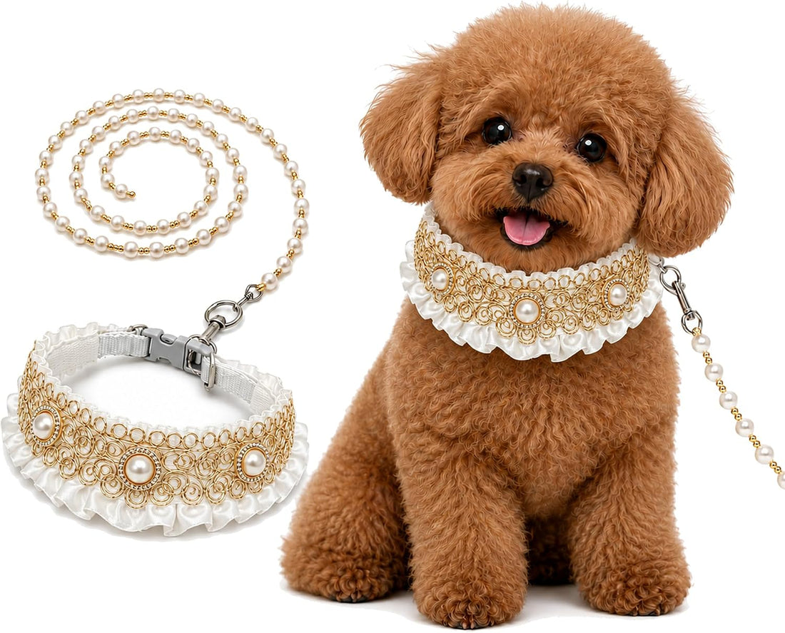 Dog Wedding Collar & Pearl Leash Set for Small Dogs, Black Gold
