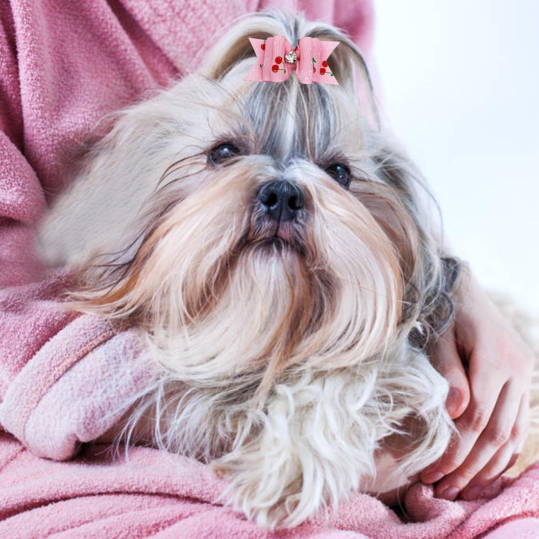 PET SHOW Mixed Styles Pet Cat Puppy Topknot Small Dog Hair Bows