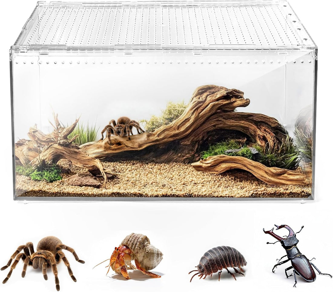 AZV Escape-Proof Tarantula Enclosure,2.37 Gallon Clear PC Reptile