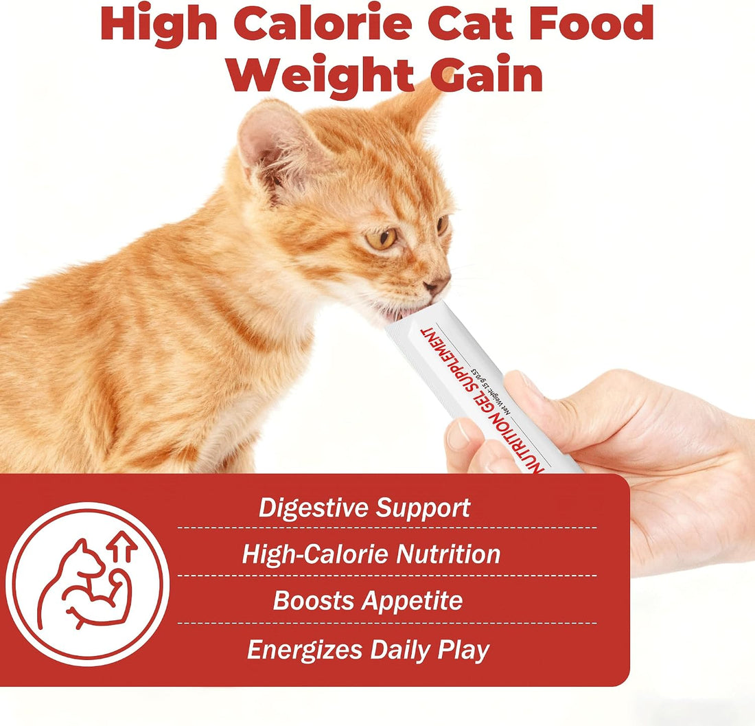 High Calorie Nutrition Paste for Cats