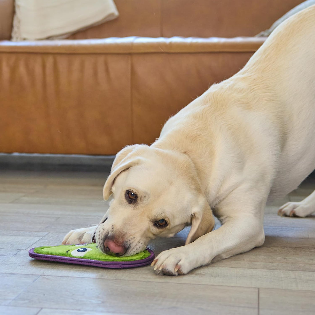 Outward Hound Tough Skinz Durable Chew Plush Squeaky Dog Toy, Avocado