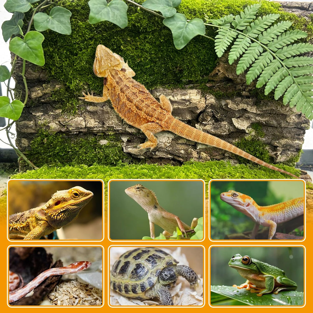 Reptile Cork Bark Bedding 6PCS Bearded Dragon Climbing Wall Mat