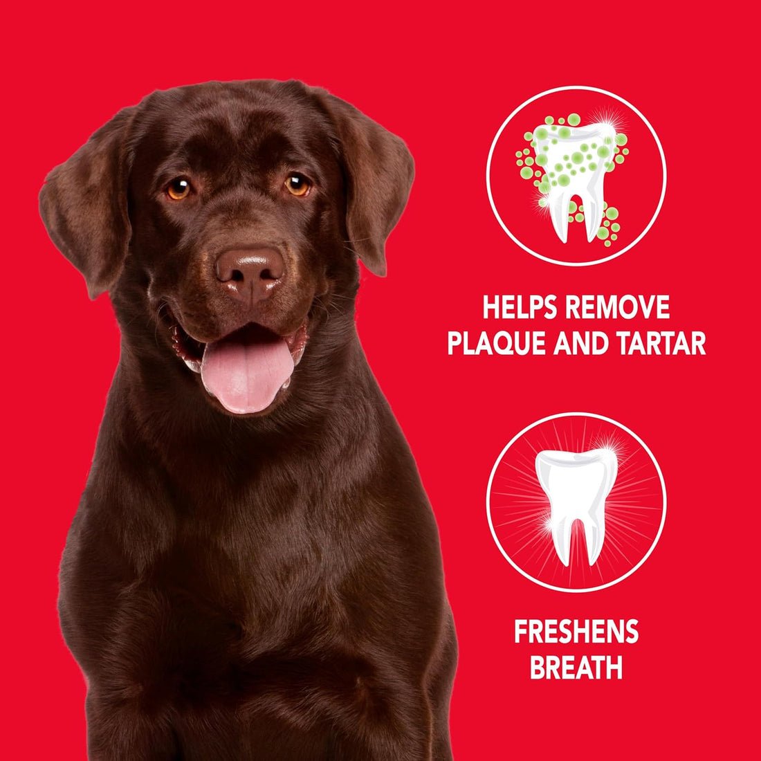 Petrodex Toothpaste for Dogs and Puppies