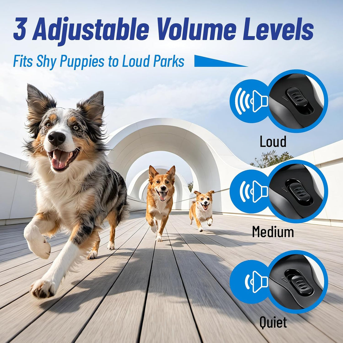 Dog Training Clicker 2-Pack with 3 Volumes-Black & Blue