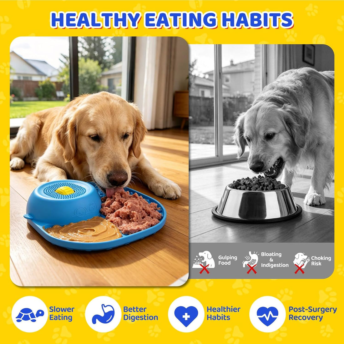 Slow Feeder Dog Bowls, Lick Mat & Interactive Rolling Ball