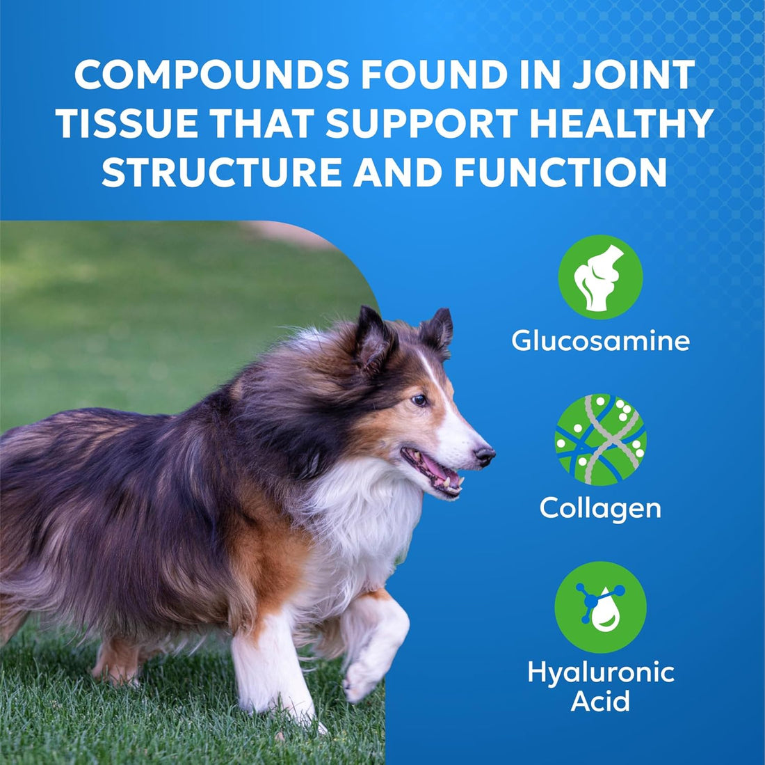 Nutramax Cosequin Elements Dog Joint Supplement, Green Lipped Mussel