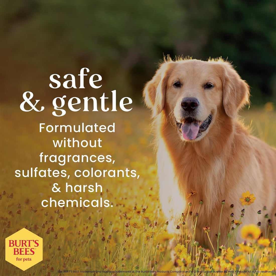 BURT'S BEES FOR PETS Ear Cleaner for Dogs with Pepeprmint and Witch