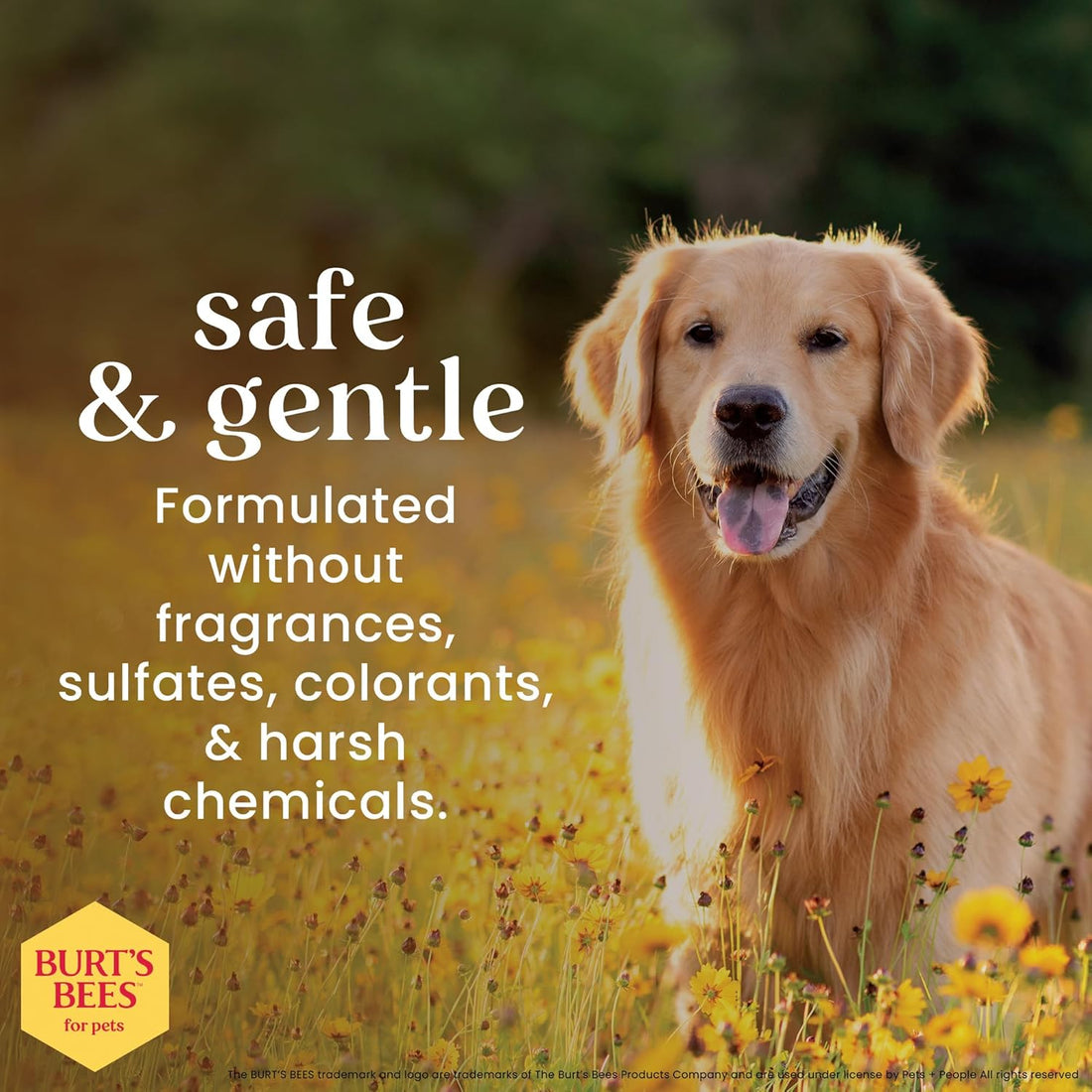 Burt's Bees for Pets Oatmeal Dog Shampoo with Honey