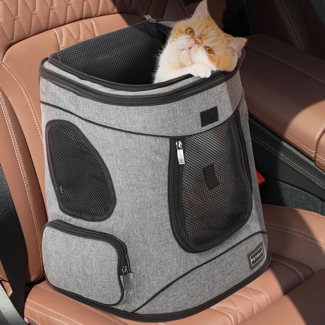 Petsfit Dog and Cat Backpack Carrier