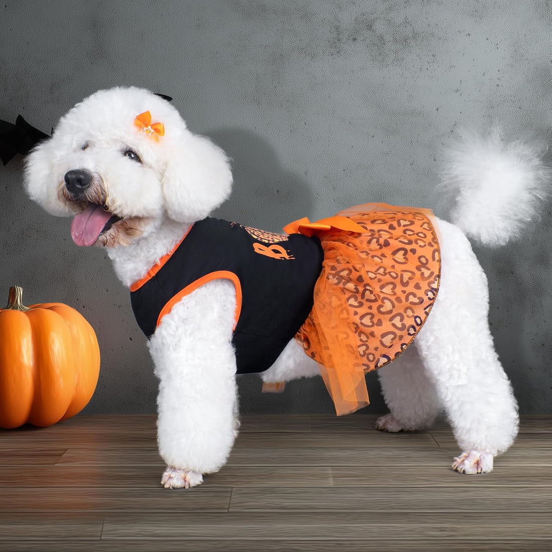 cyeollo Dog Halloween Dress, Pumpkin Print Tulle Outfit with Hair Bow