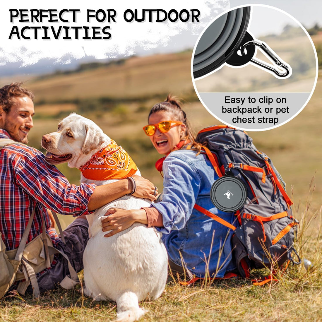 Rest-Eazzzy Collapsible Dog Bowls