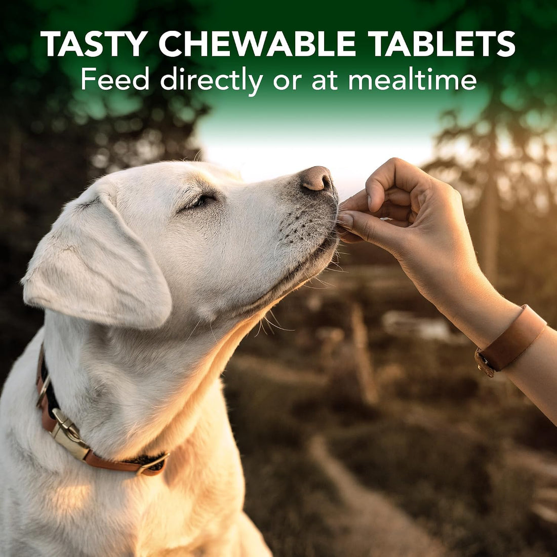 Vet's Best Seasonal Allergy Chewable Tablets for Dogs, Soothes Dog