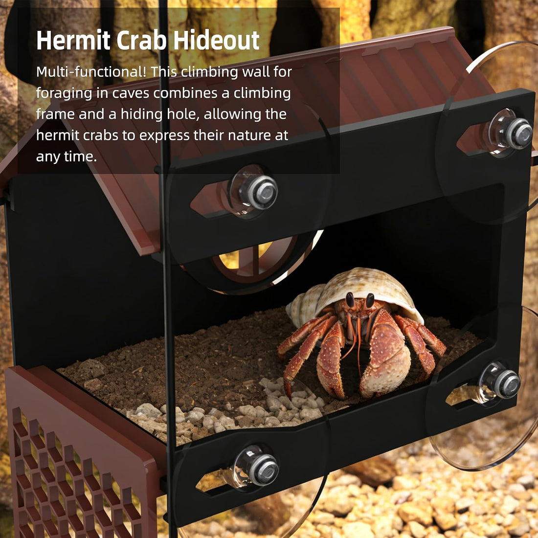 Hermit Crab Accessories | Hermit Crab Climbing Toys with Climbing Wall