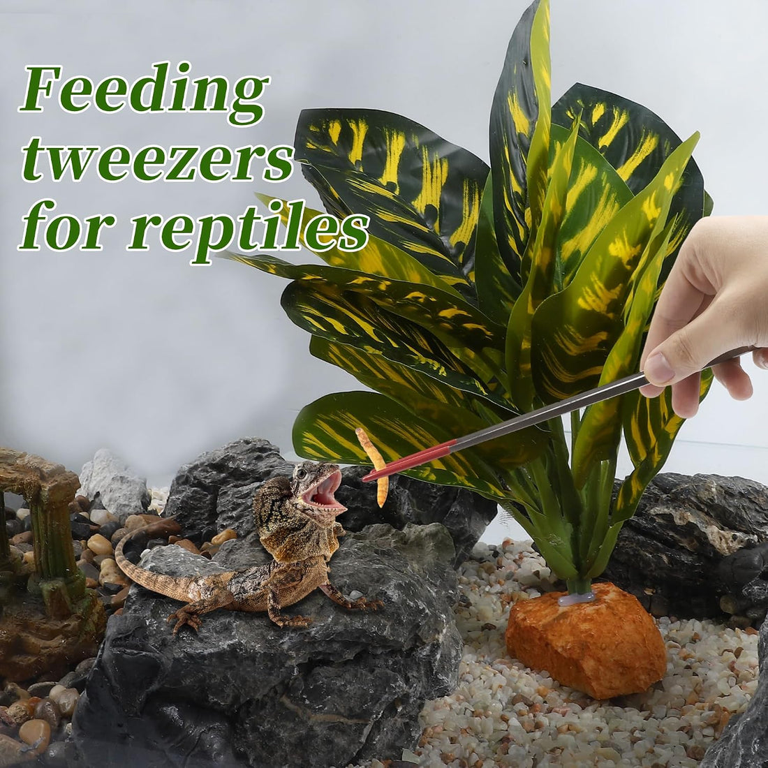 10.63" L Aquarium Straight Feeding Tweezer for Feeding with Red