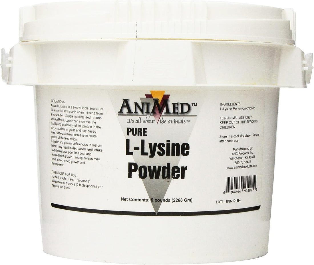 AniMed L-Lysine for Horses