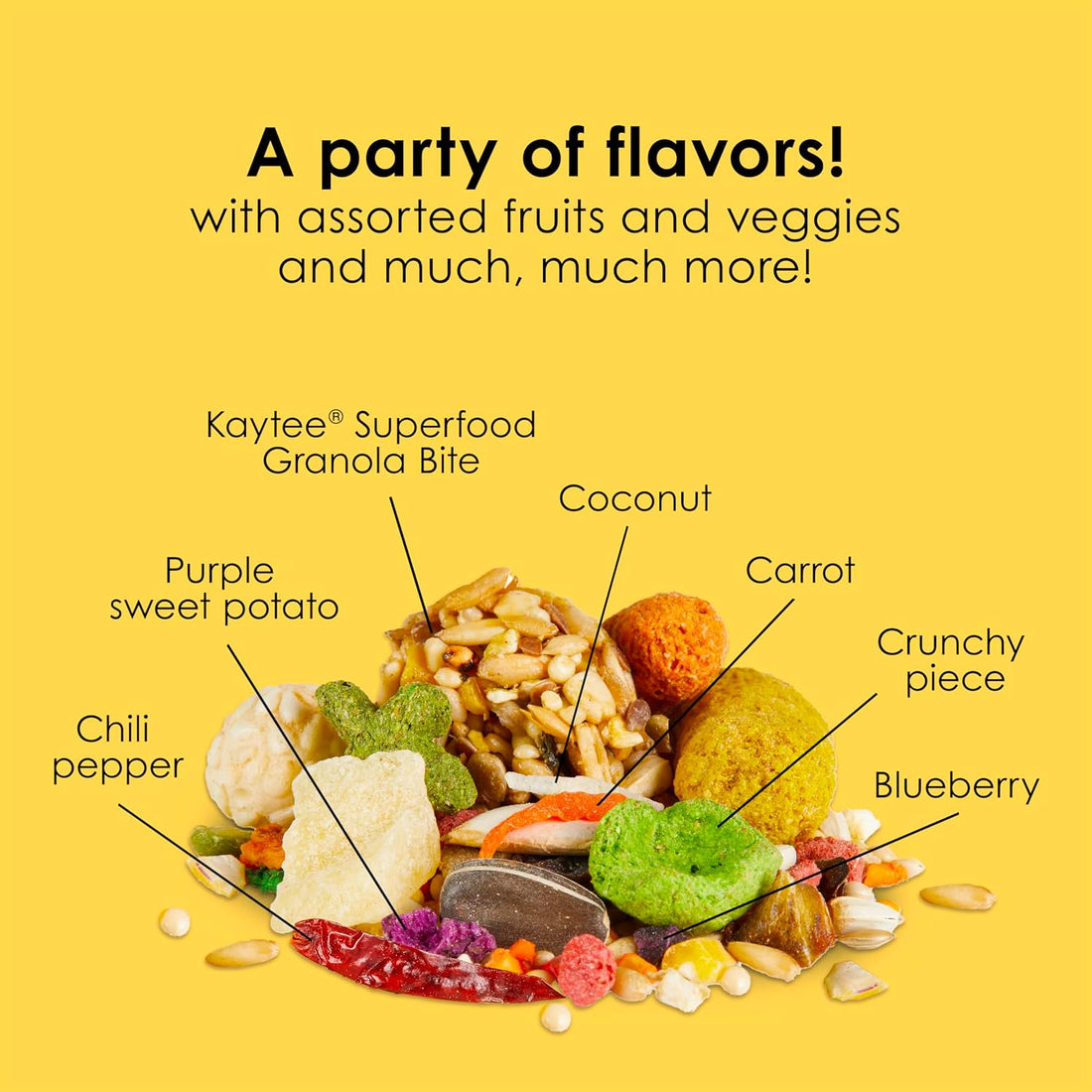 Kaytee Fiesta Conure Food, Nutritious and Fun Blend, Supports Skin