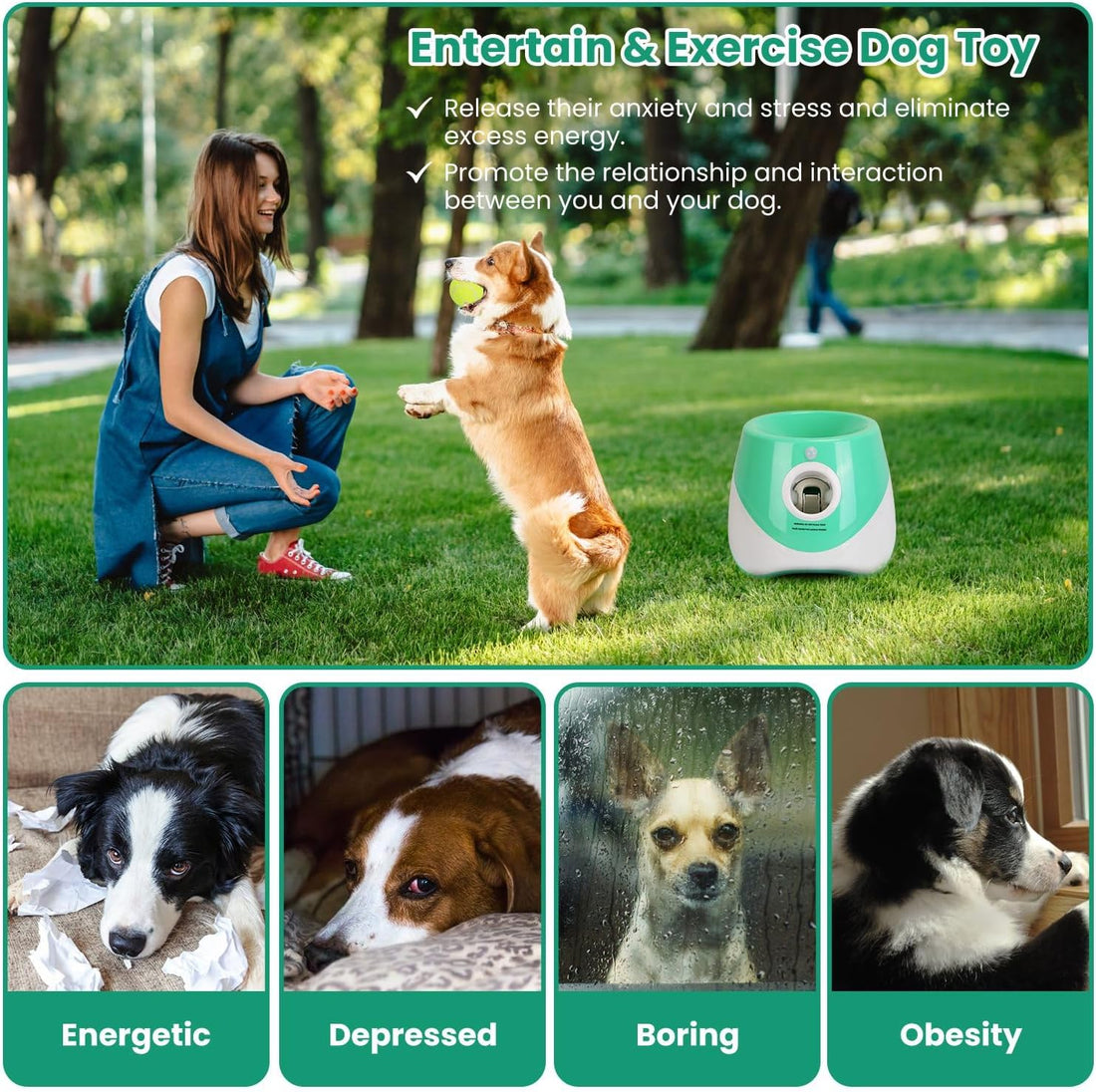 TeqHome Automatic Ball Launcher for Dogs