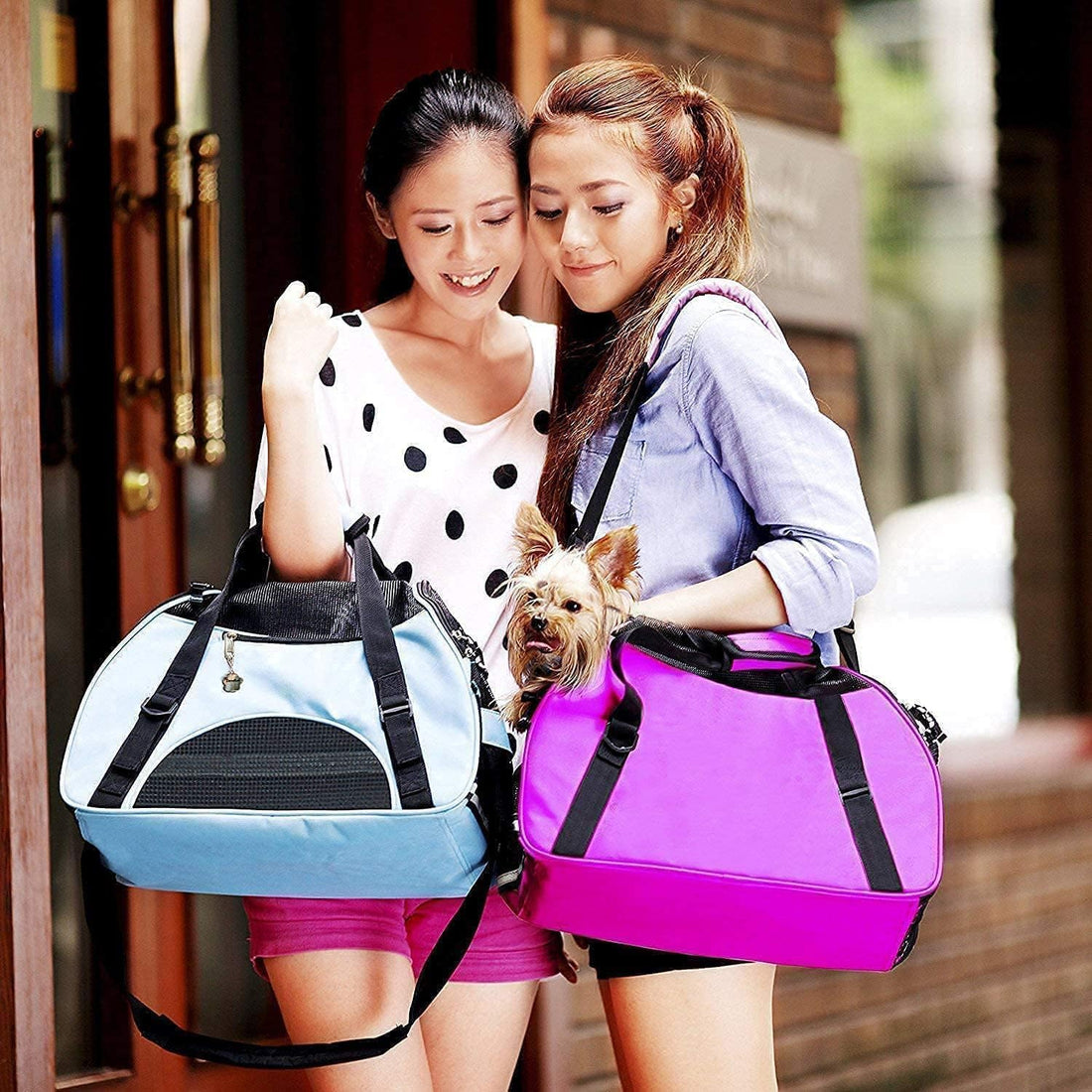 ZaneSun Cat Carrier,Soft-Sided Pet Travel Carrier for Cats,Dogs Puppy