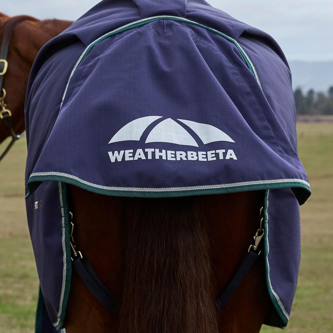 WeatherBeeta ComFiTec Plus Dynamic Turnout 0g, Navy/Forest Green, 81"
