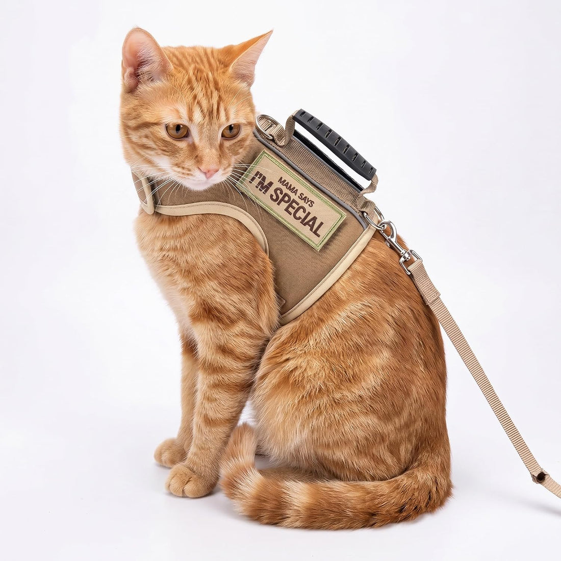 Tactical Cat Harness and Leash for Walking Escape Proof