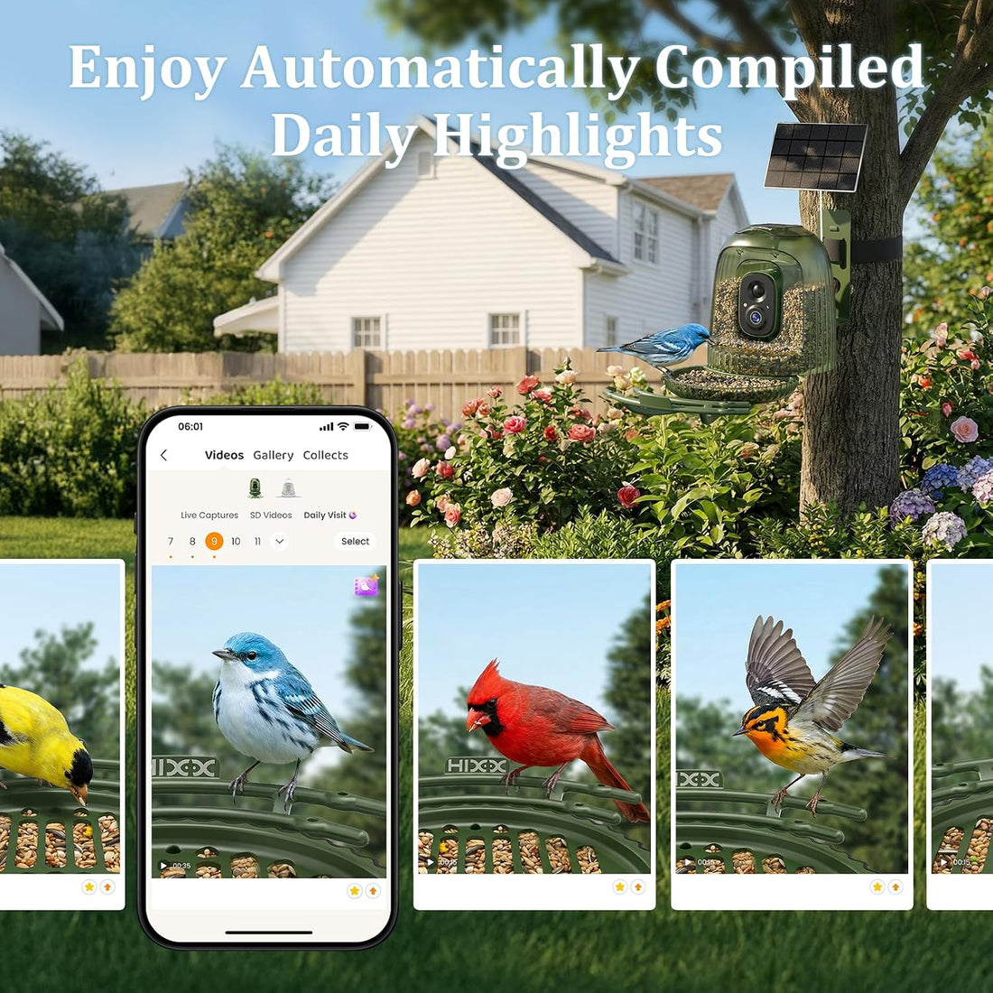 HIXX x COOLFLY Bird Feeder with Camera Solar Powered, Free AI Bird ID