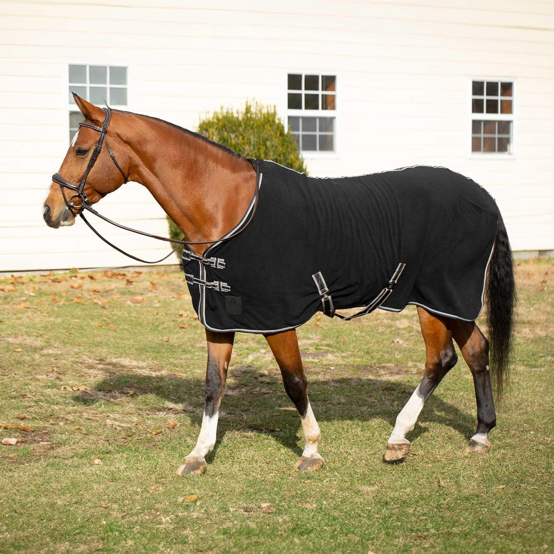 Equinavia Norse Anti-Pill Fleece Cooler | Blanket Liner for Horses