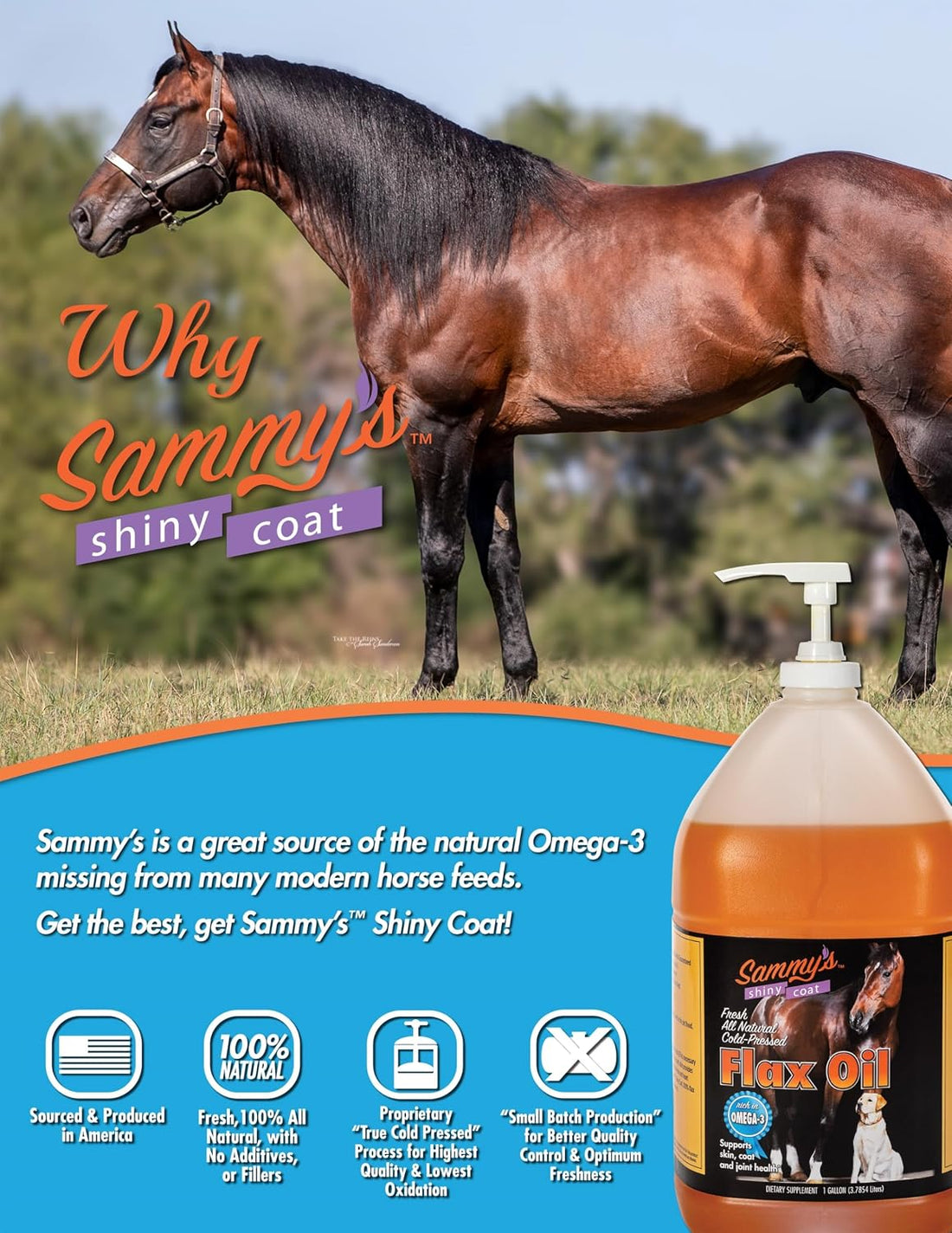 Sammy's Shiny Coat Flax Oil for Horses, Pure Flaxseed Oil for Horse