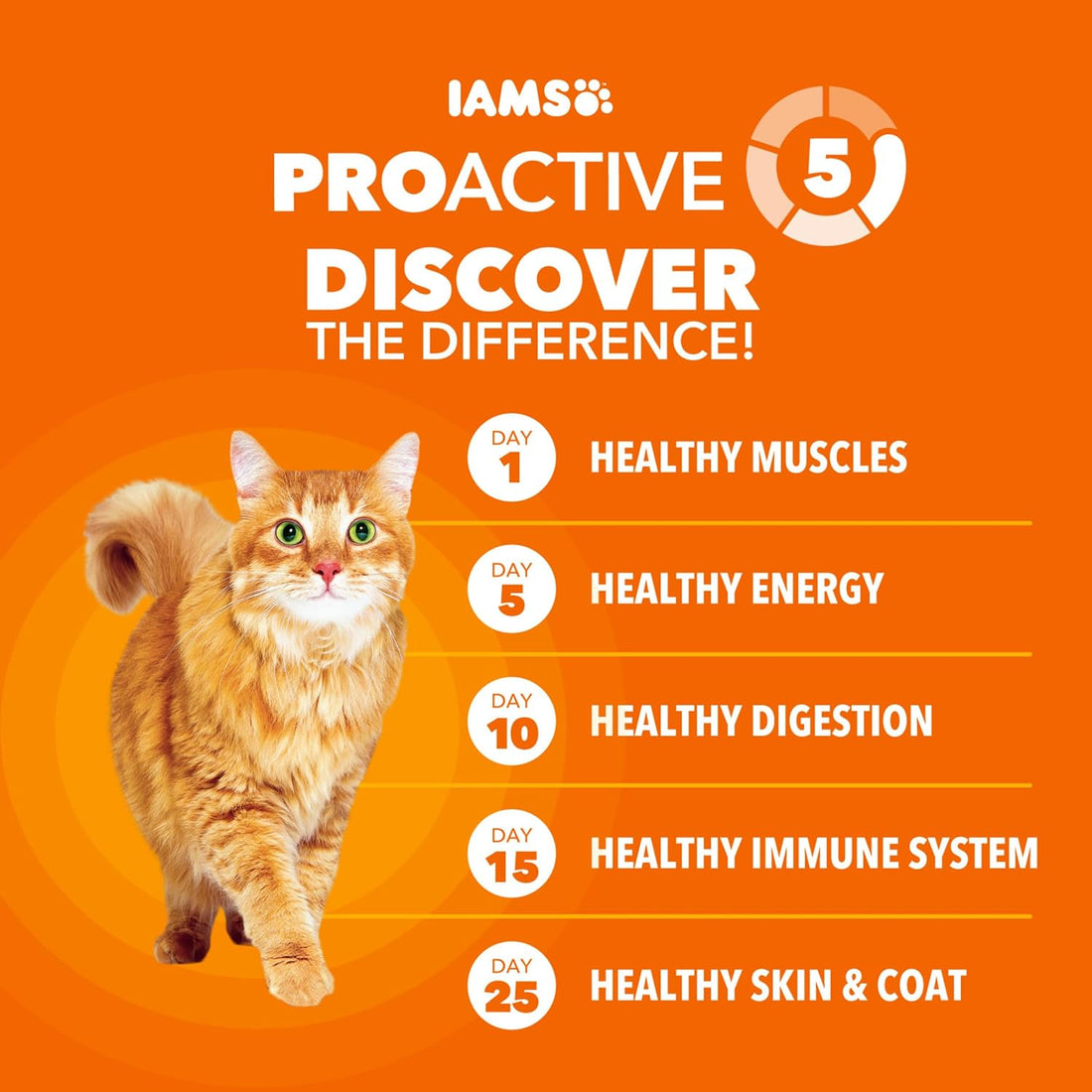 IAMS Proactive Health Dry Cat Food Hairball Care, Adult Cat Food