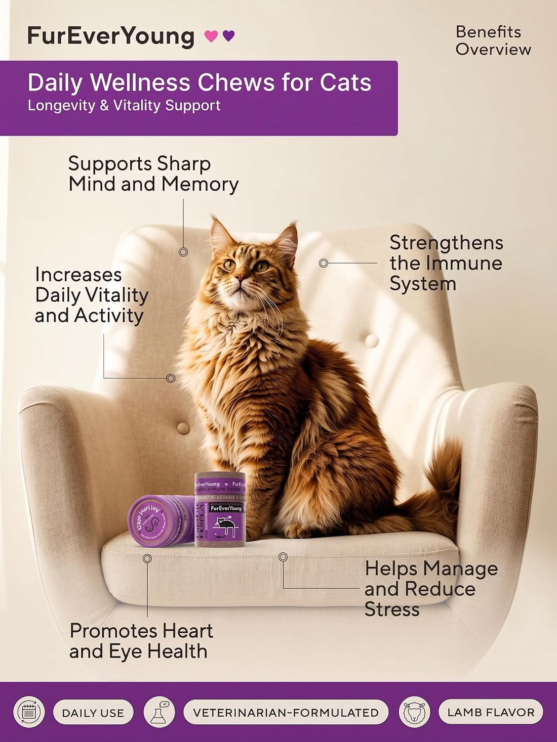 Ear Care for Senior Cats - Brain, Vision & Heart Health Chews