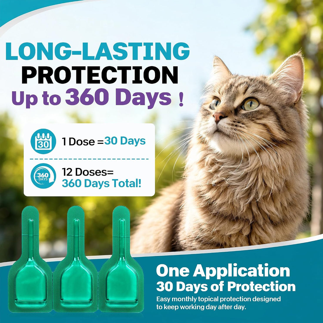 Cat Flea & Tick Topical Cat Care Drops for Kittens & Cats,12 Dose