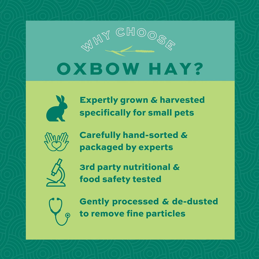 Oxbow Orchard Hay, Rabbit & Guinea Pig Hay, Hand-Sorted, De-Dusted