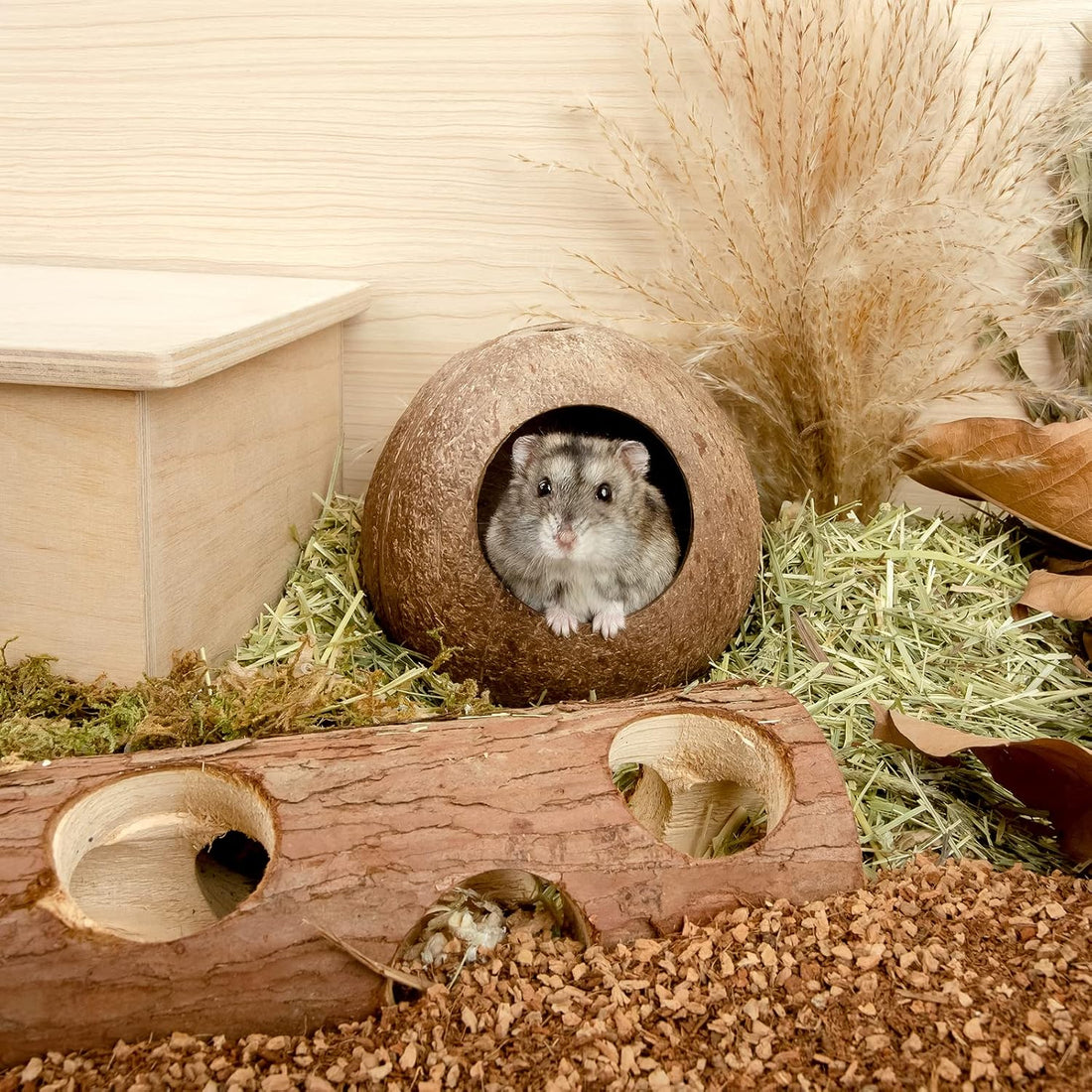 andwe Coconut Hut Hamster House Bed Natural Gerbils Hideout