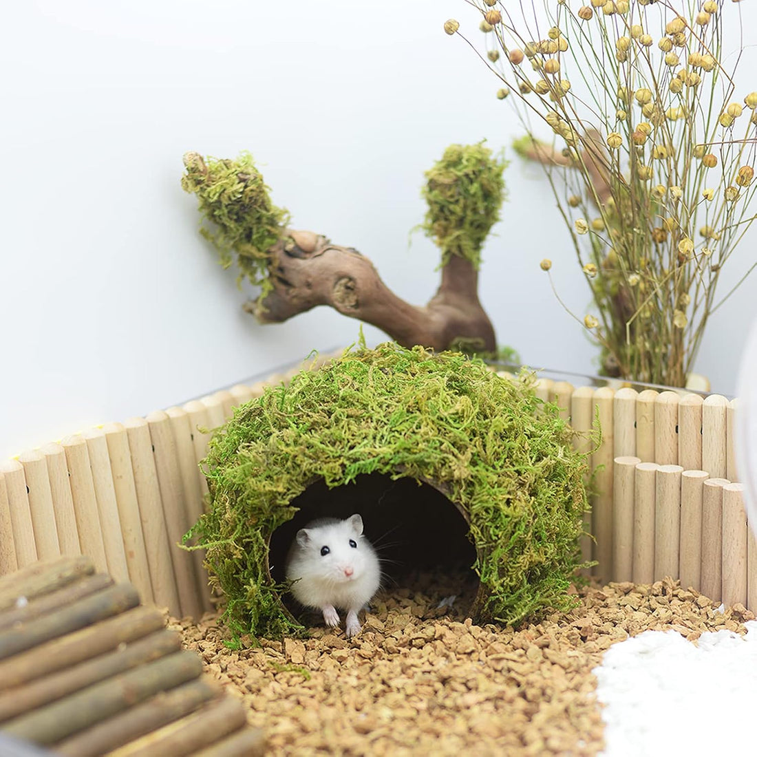 Hamster Hideout - Large, Natural Moss, Handcrafted for Syrian Hamsters
