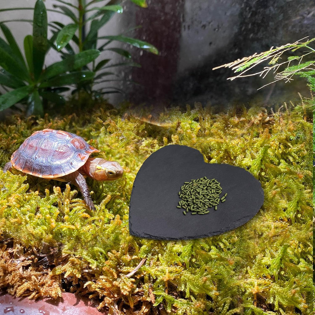 Reptile Basking Platform, 7.9 × 7.9 inch Tortoise Rock Plate