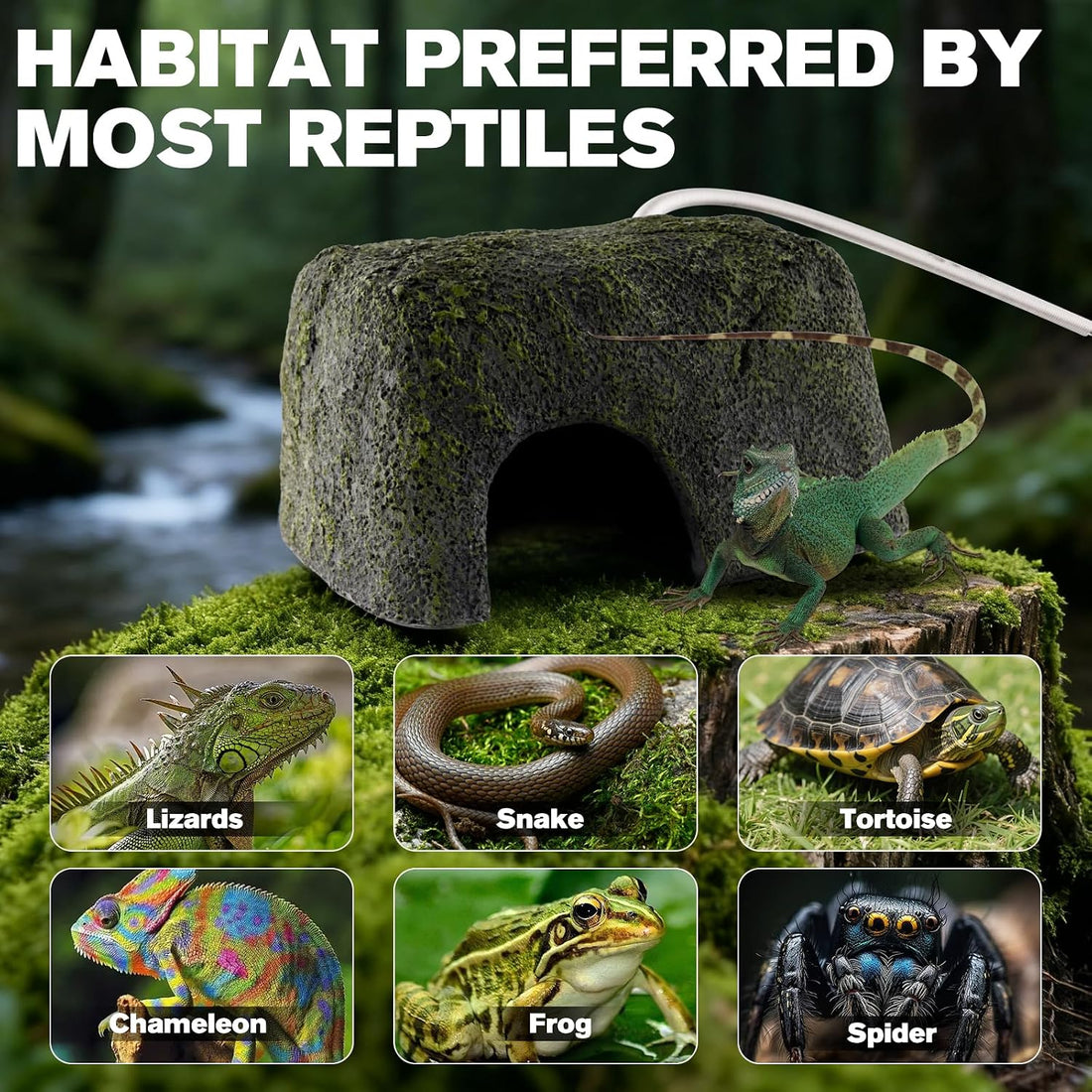 Reptile Heated Rock Bearded Dragon Basking Platform with Hide