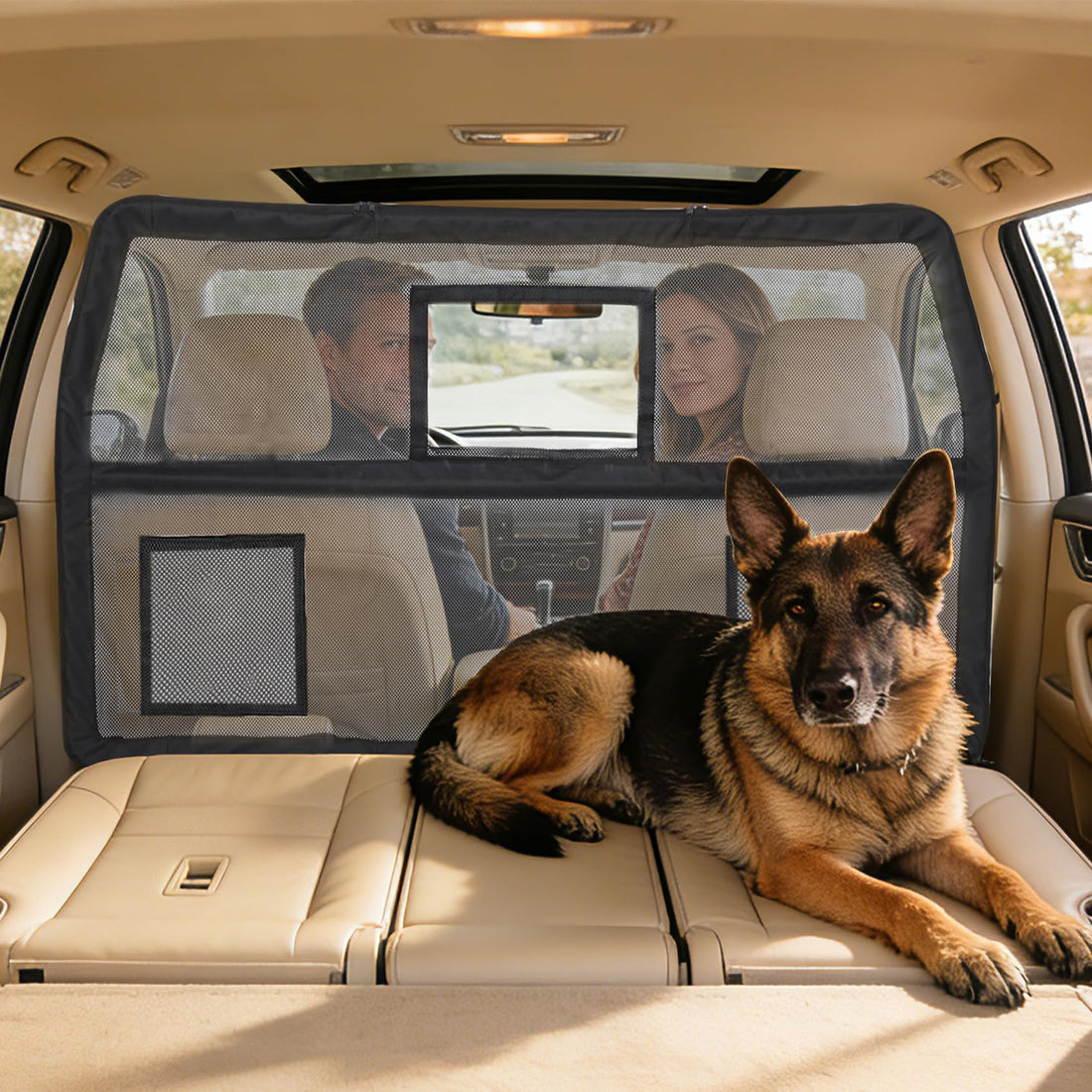 benut 52" Wide Dog Car Barrier with Window & Steel Frame